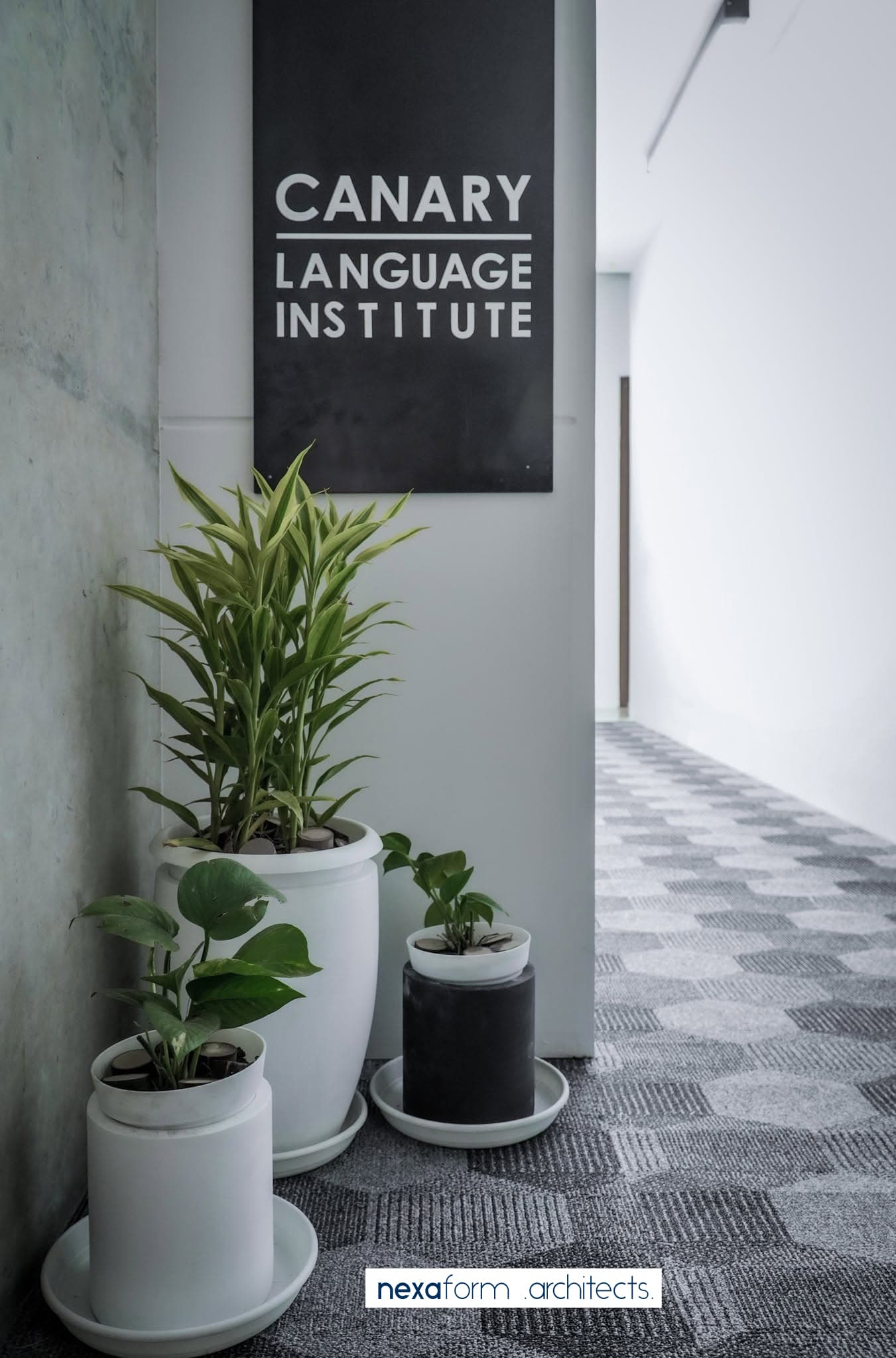 Canary Visa Consultancy & IELTS Hub gallery photo 6